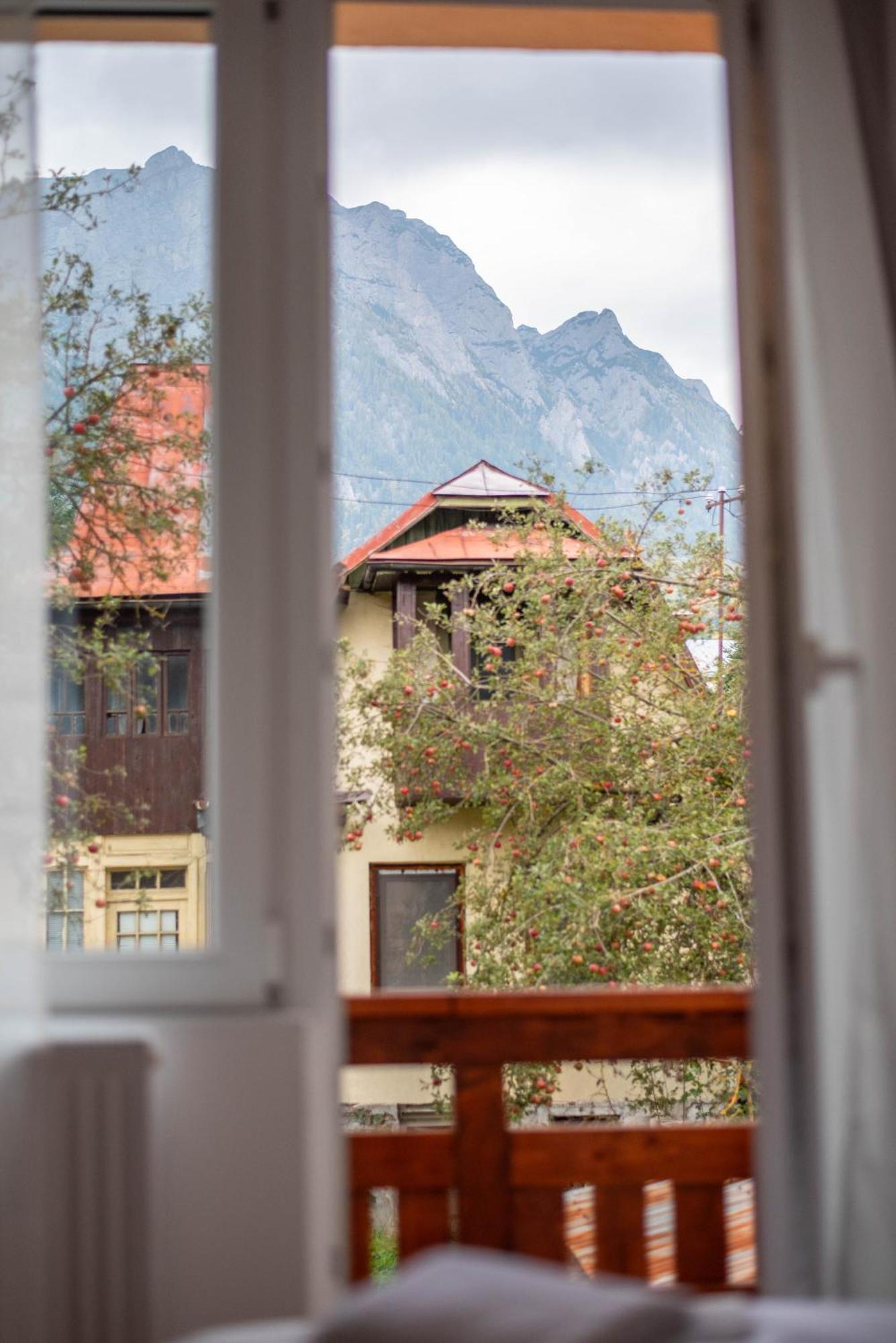 Casa Bucegi Szászbuda Kültér fotó